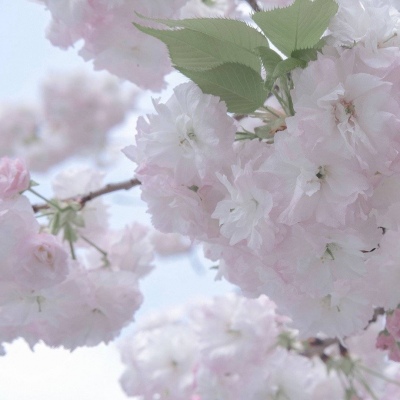 Furry插画细节灵感Furry群